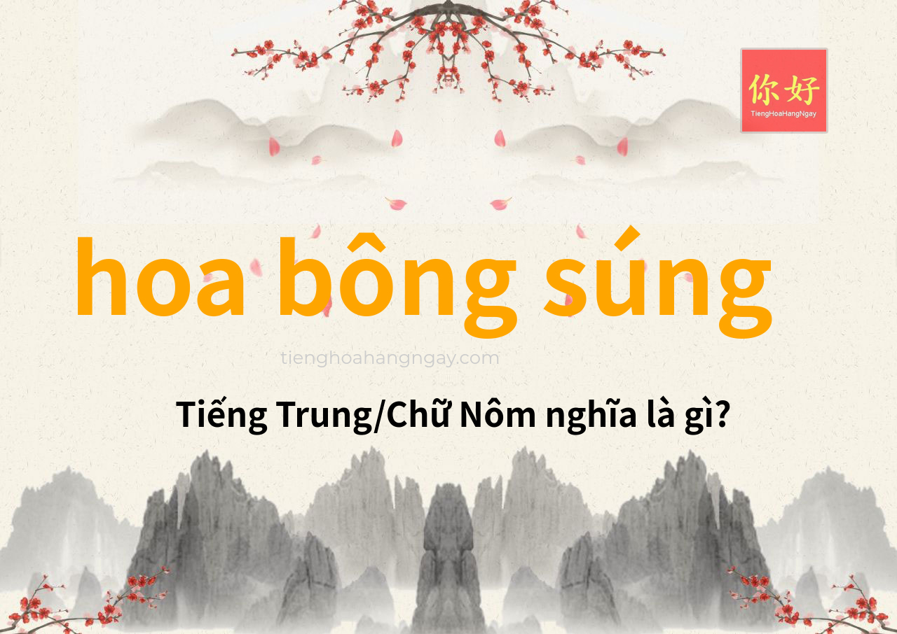 hoa bông súng tiếng Trung là gì?